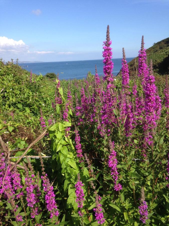 Kerryanna Country House Bed And Breakfast Mevagissey Zewnętrze zdjęcie